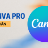 Canva pro cá nhân