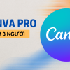 Canva team 3 người