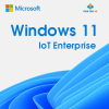 Windows 11 IoT Enterprise