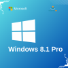 Windows 8.1 Pro